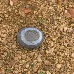 Dallas college Richland rock2