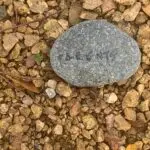 Dallas college Richland rocks4