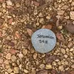 Dallas college Richland rocks7