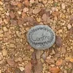 Dallas college Richland rocks9