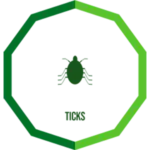 ticks