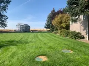 Yeah, I've had some lawn envy ever since I got here...