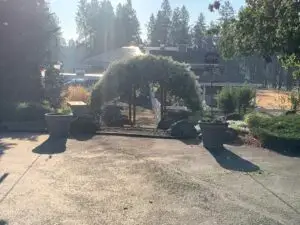Honeysuckle and Paperwhite arbor leading down to the workshops