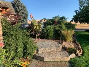 Everywhere is an oasis here!