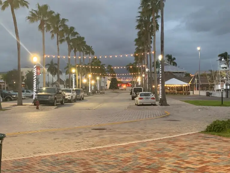 Christmas lights are up  downtown