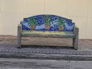 2022-11-21 pineapple bench