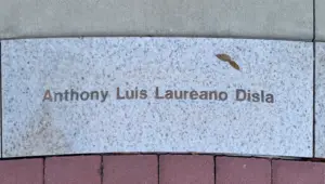 Anthony Luis Laureano Disla