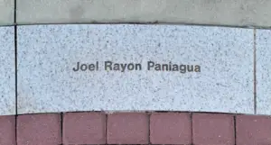 Joel Rayon Panigua