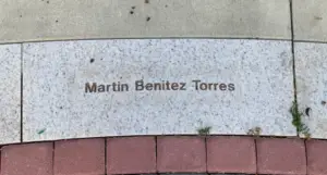 Martin Benitez Torres