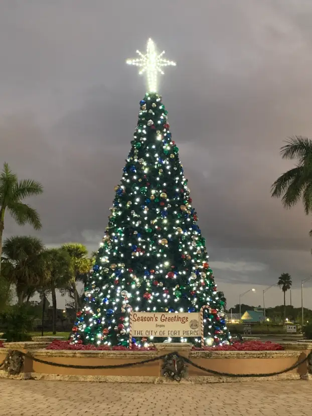 Downtown Marina Christmas Tree