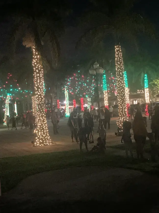 Marina palm trees with lighted trunks