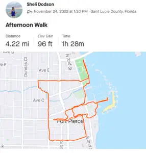 2022-11-24 Strava2