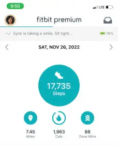 2022-11-26 FitBit