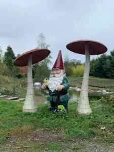2023-10-15 2023-10-15 Falling Waters Gardens gnome