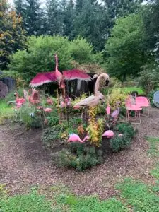 2023-10-15 Falling Waters Gardens flamingos