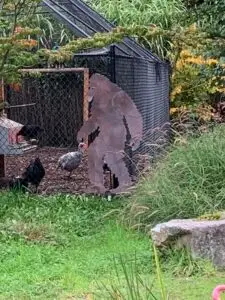 2023-10-15 Falling Waters Gardens sasquatch