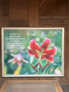 2022-09-26 lilies sign St Lukes Episc Gresham OR