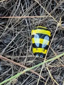 2022-09-27 Wyakin Park - bee rock