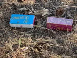 2022-09-27 Wyakin Park - bricks