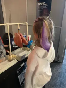 A. learns about healthy & unhealthy lungs- those are real (pig?) lungs!