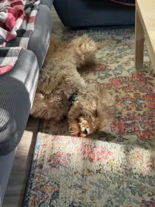 Kristina's adorable doodles