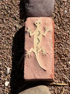 Casa de Sol y Sombra gecko paver