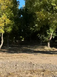 gives me the heebie jeebies...