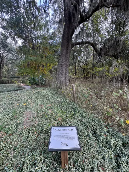 2024-12-15 Shalom Park Labyrinth Path - Healed Heart Tree & plaque (Ocala, FL)