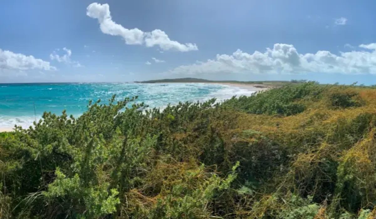 2023-02-11 Bahamian pano1