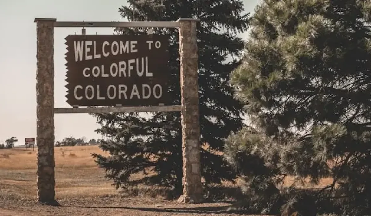 Photo by Daniel Norris on Unsplash