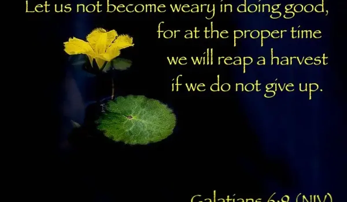 Image by myungho lee from Pixabay