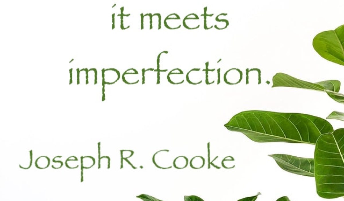 Background image by Josh Calabrese on Unsplash