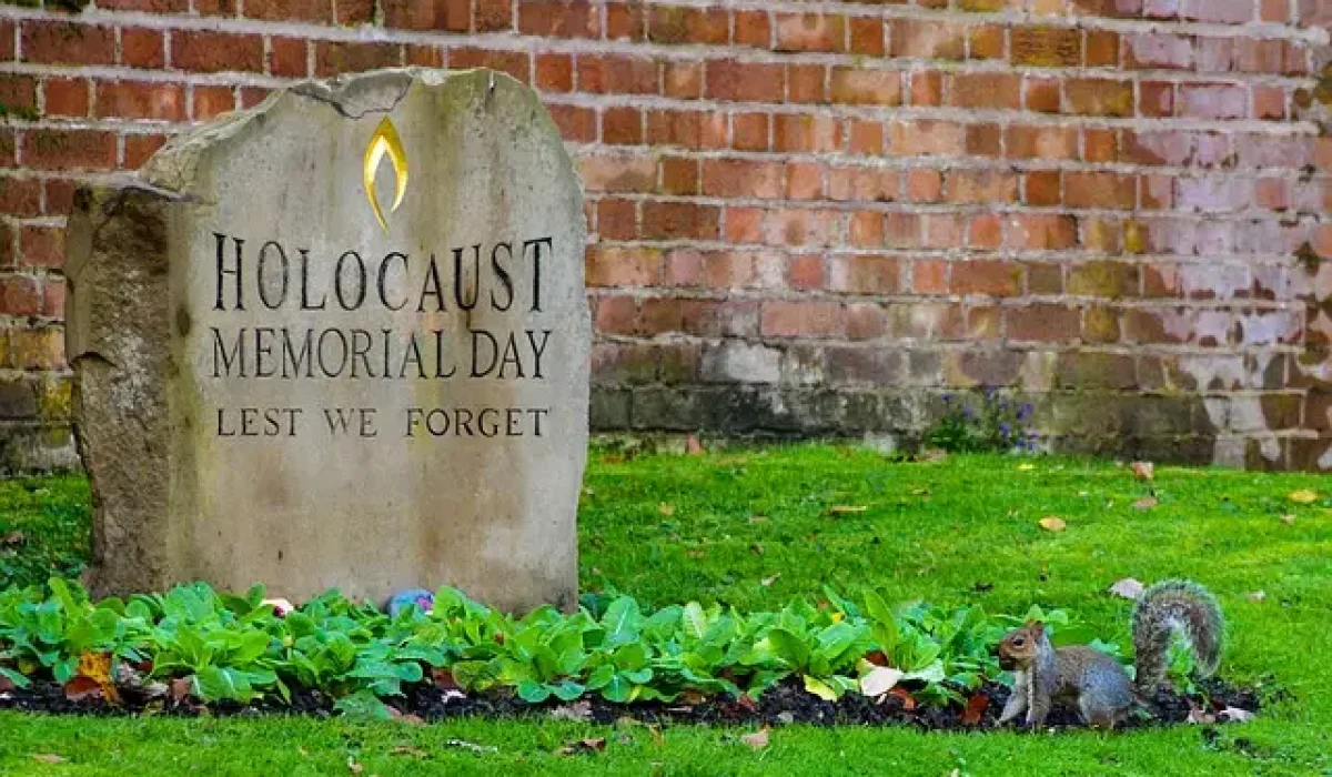 Image by Anthony Scanlon from Pixabay