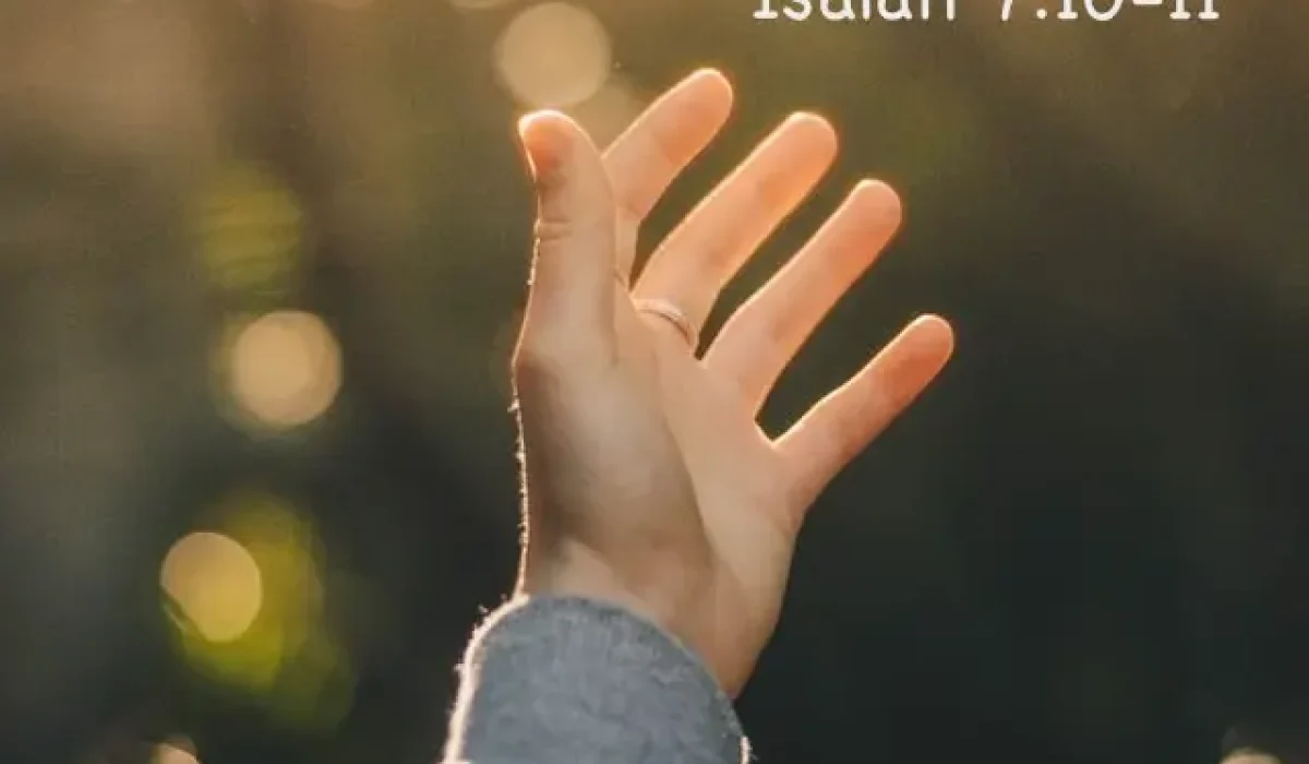 Background Photo by Dev Benjamin on Unsplash