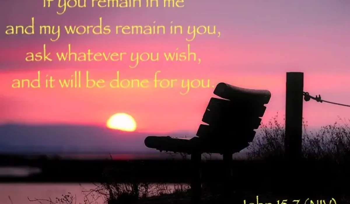 Background Image by David Mark from Pixabay