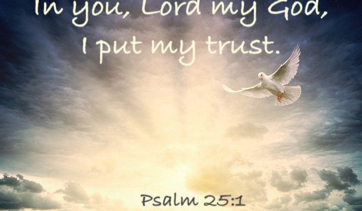 Background Image by jplenio from Pixabay