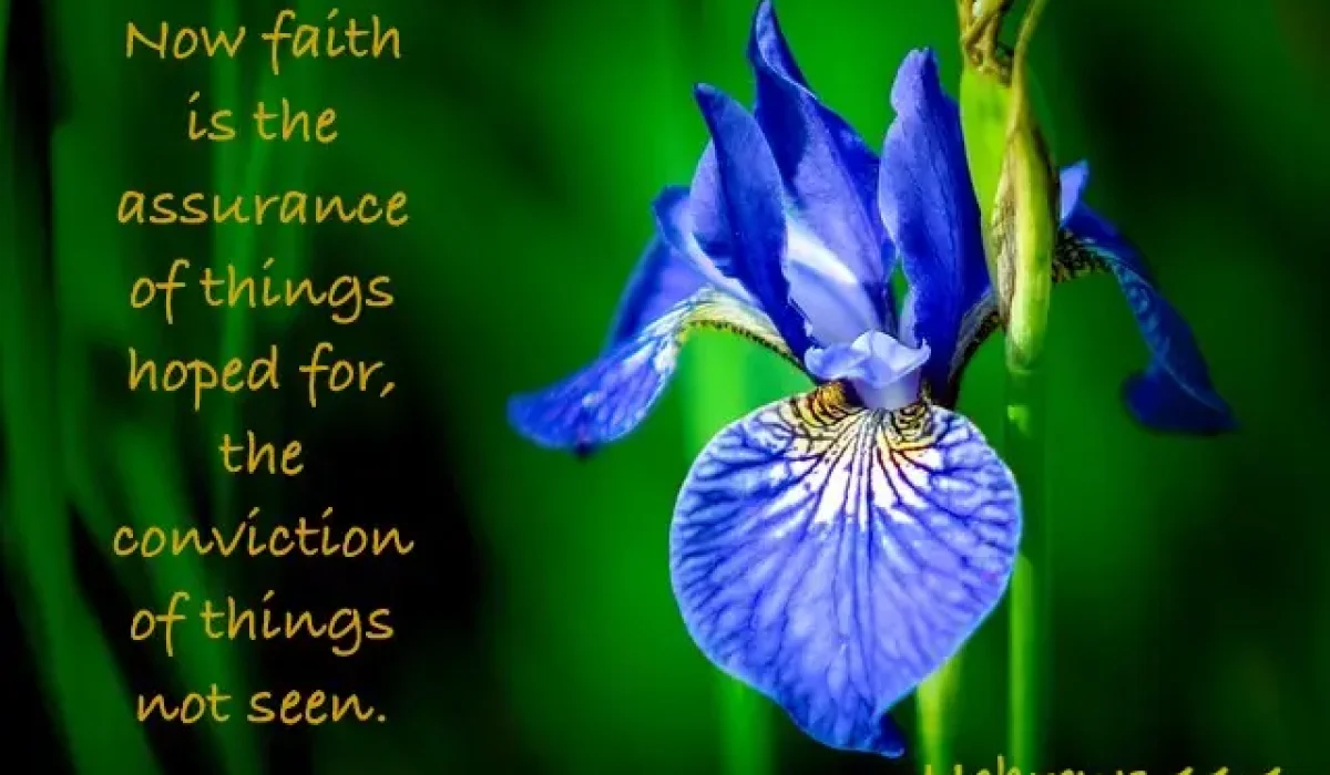 Background Image by klimkin from Pixabay