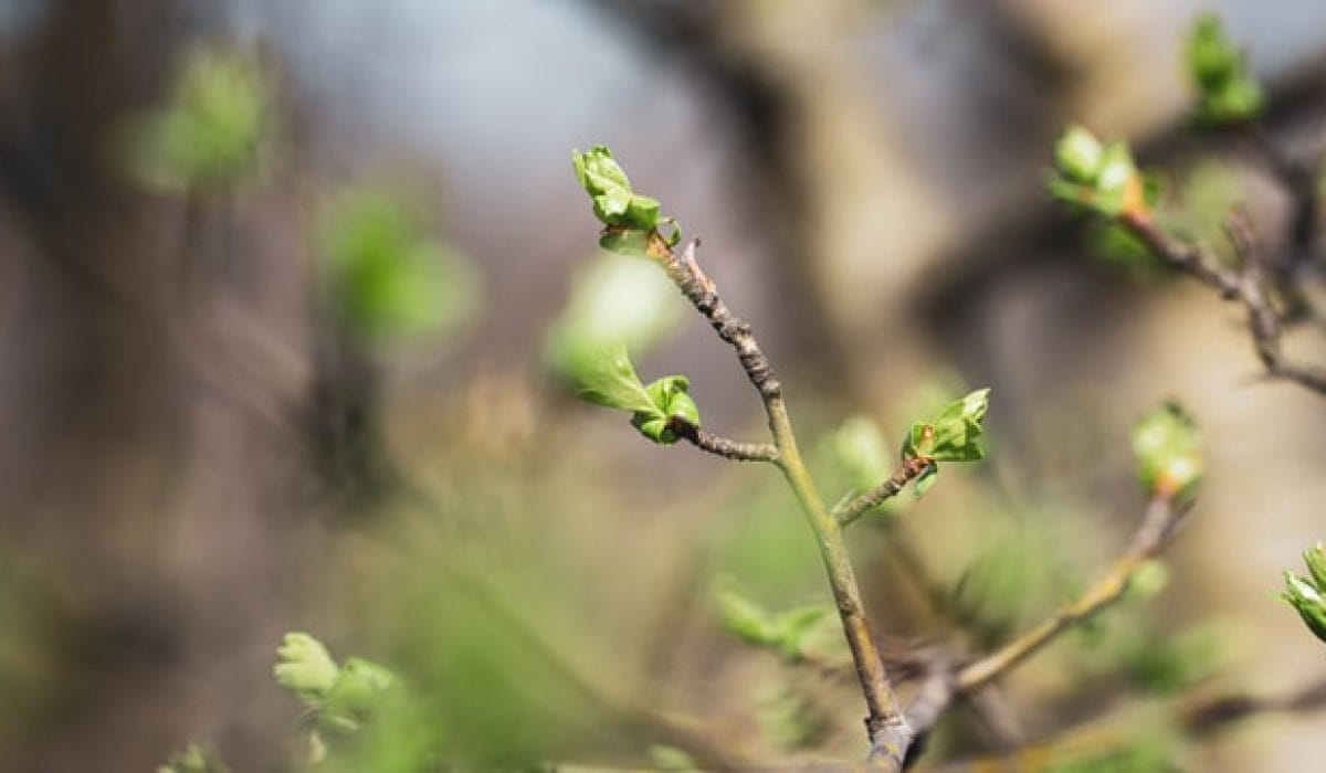 Photo by Anna Dudkova on Unsplash