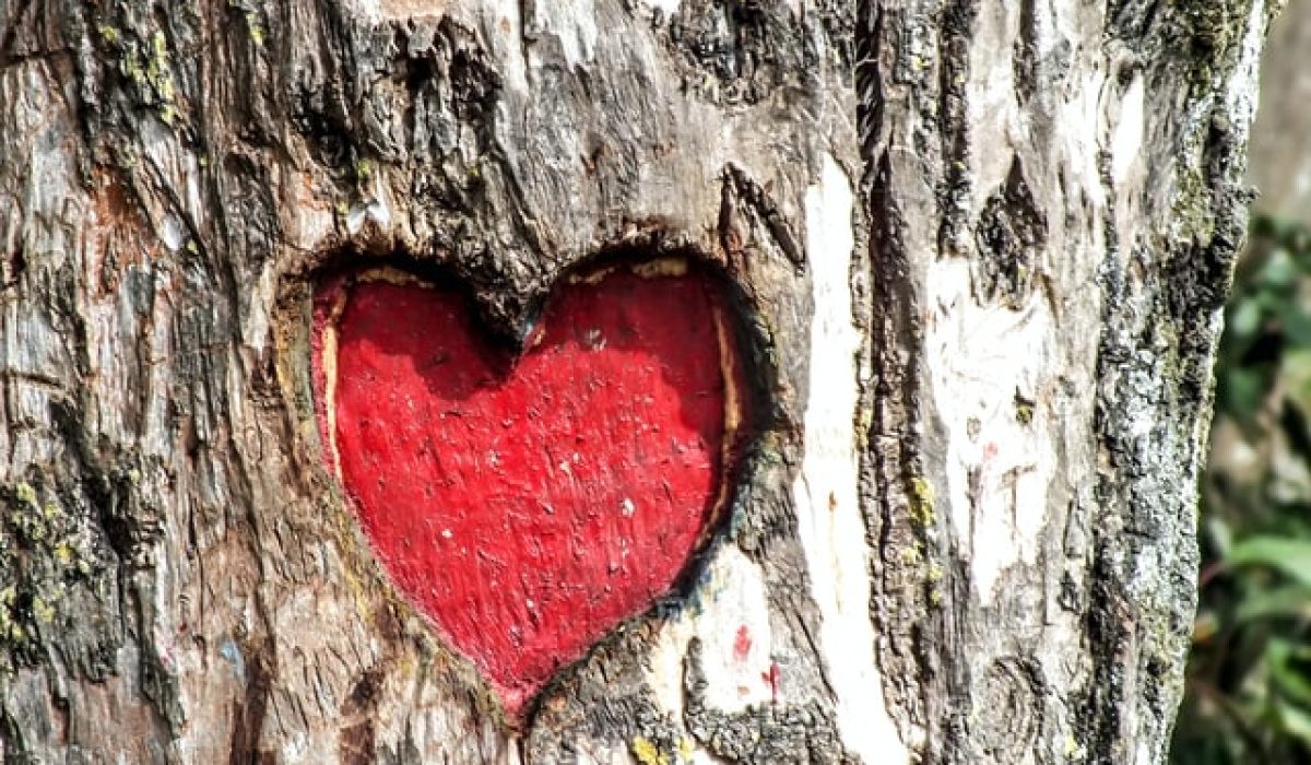 Photo by Chandan Chaurasia on Unsplash