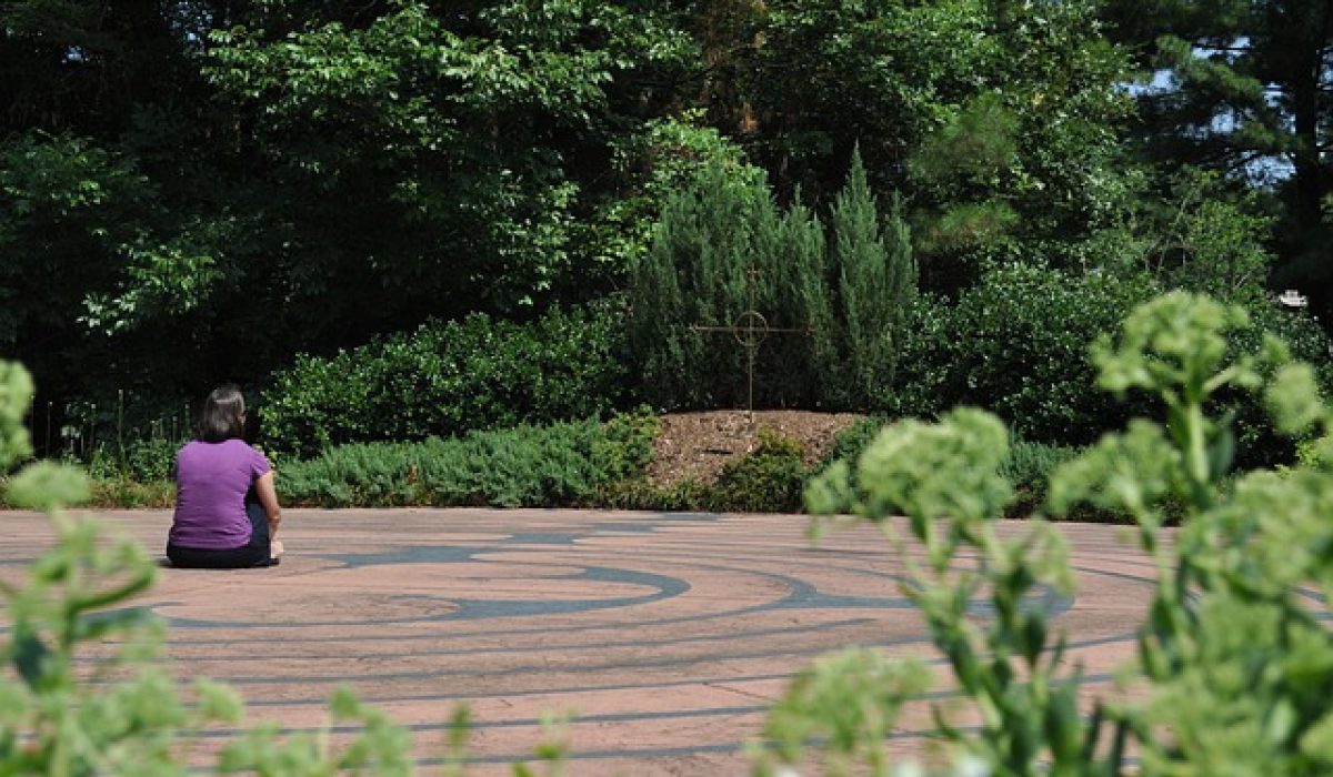 Image by ev3177 from Pixabay