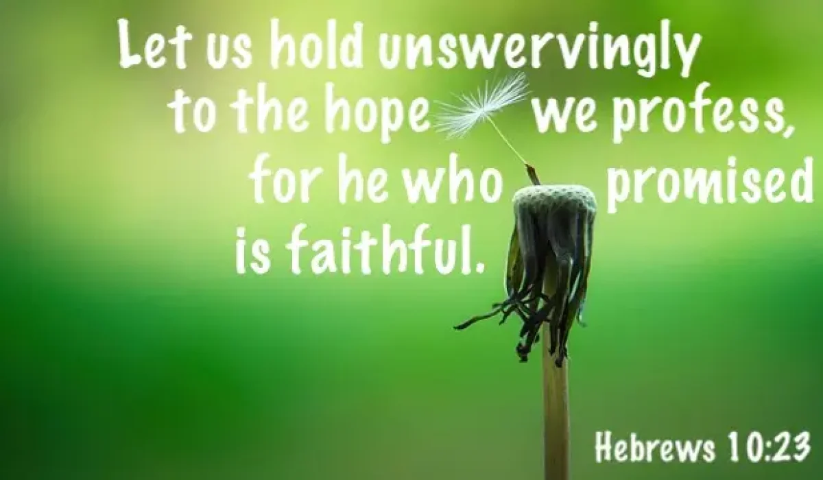 Image by Joe from Pixabay