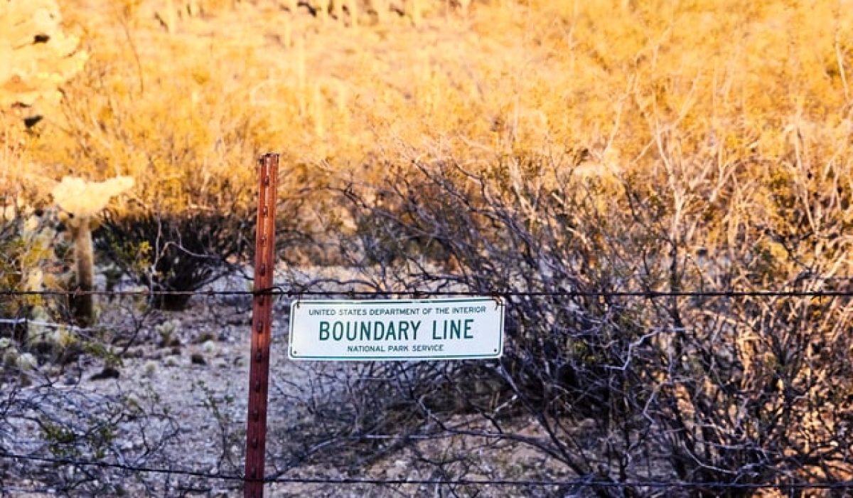 Photo by Erin Larson on Unsplash