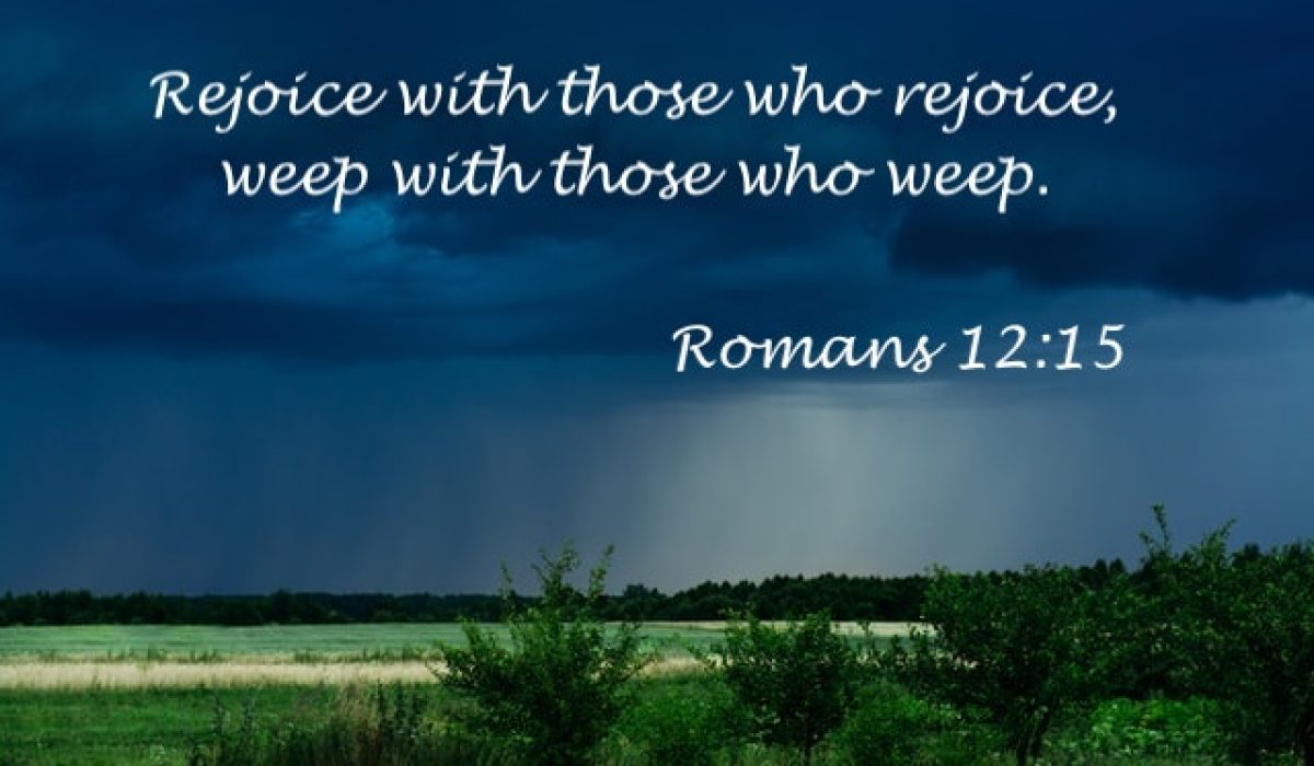 Background Photo by Irina Iriser on Unsplash