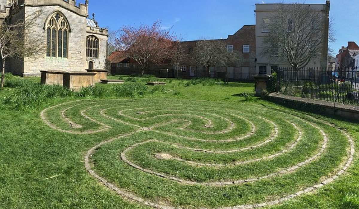 Image by shamboo from Pixabay