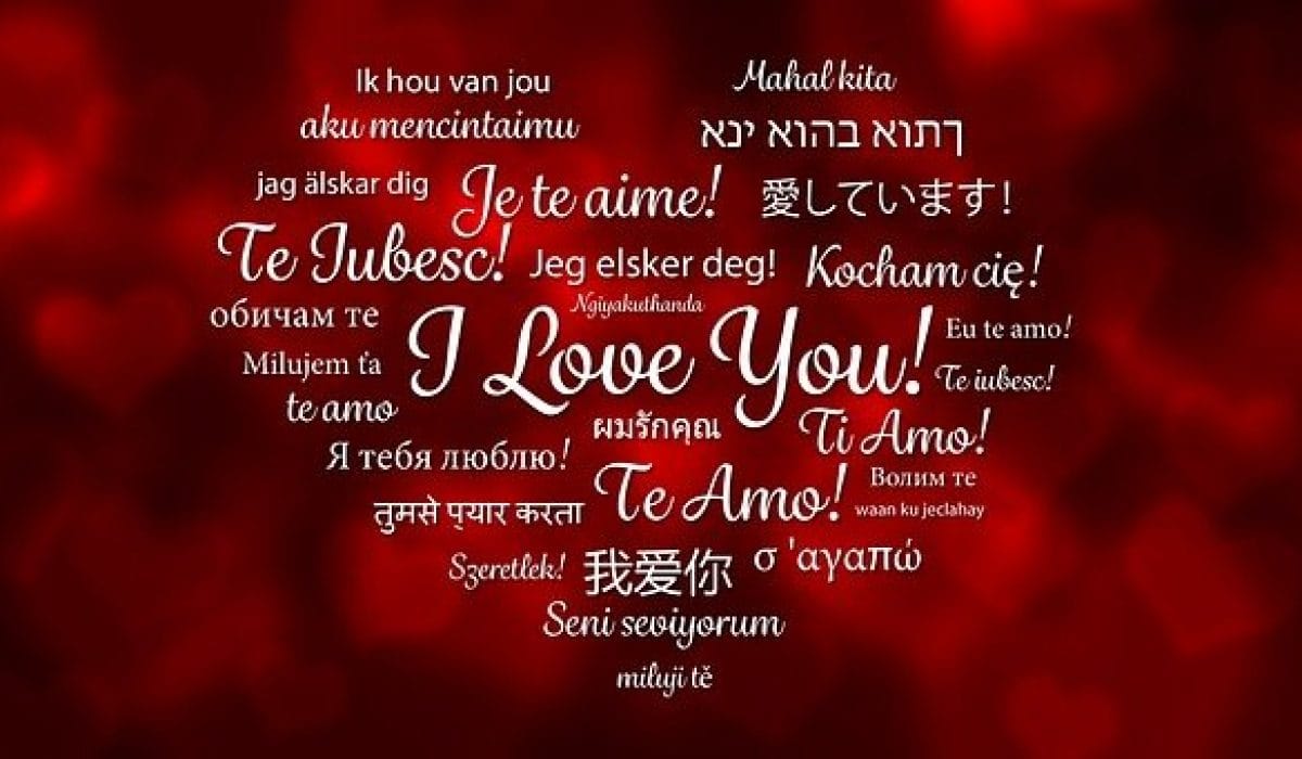 Image by Dok Sev from Pixabay