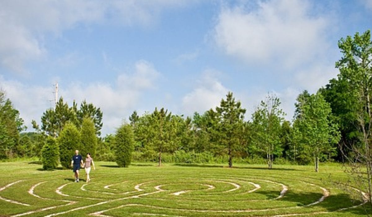 Image by Jason Shivers from Pixabay