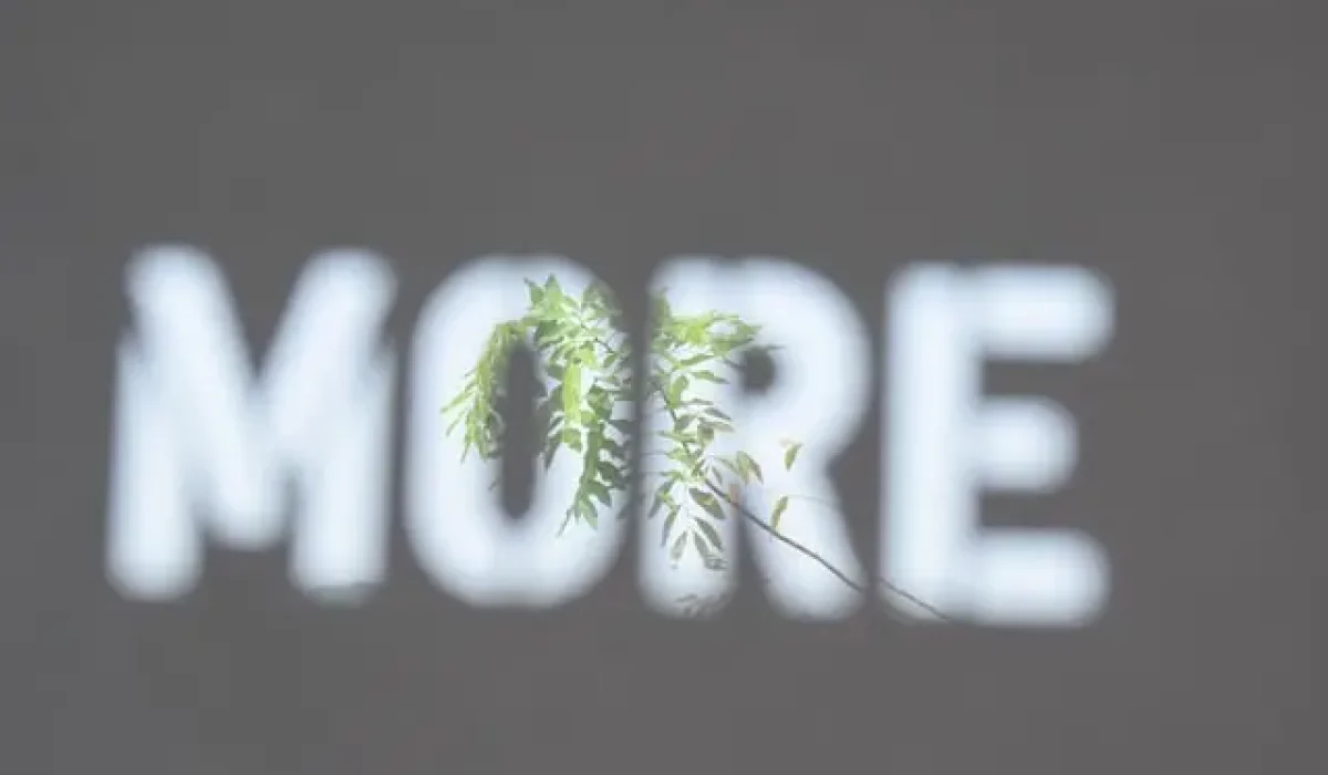 Photo by christy jacob on Unsplash