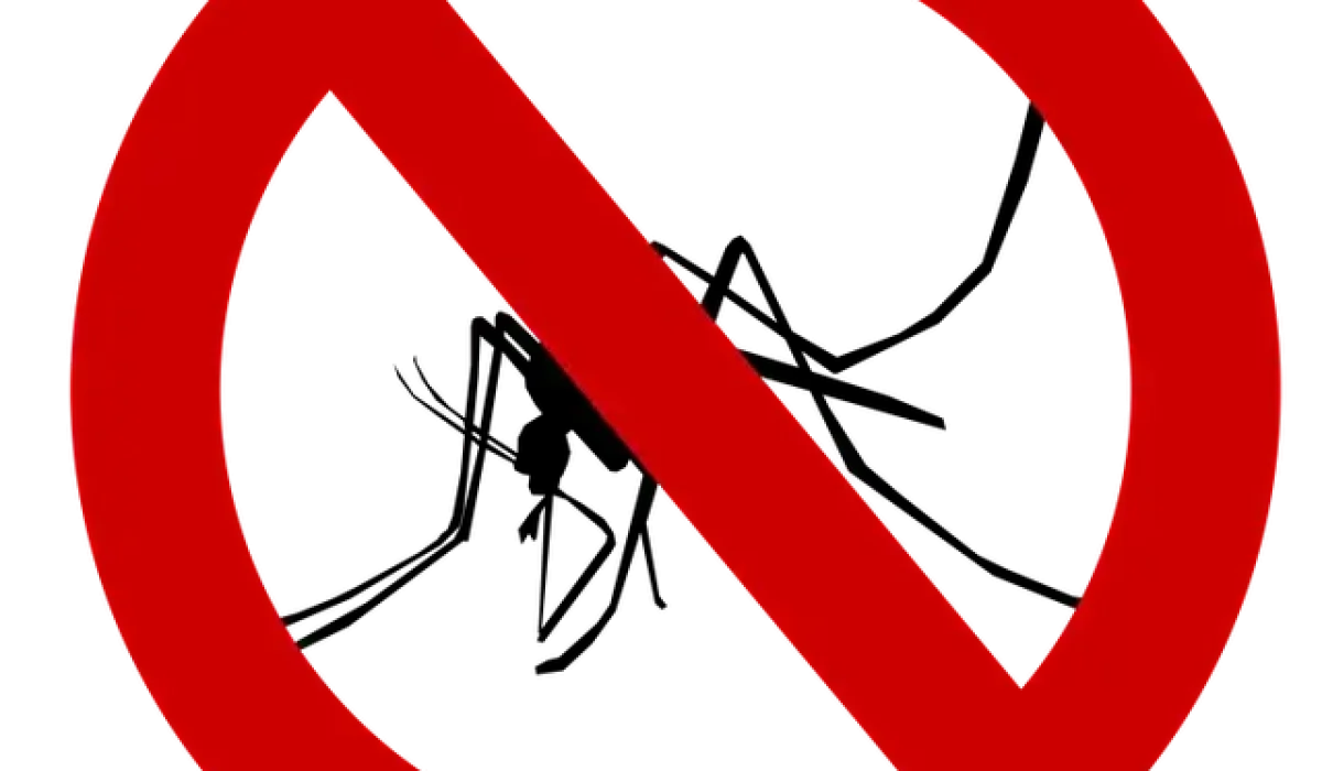 Image par Elias de Pixabay