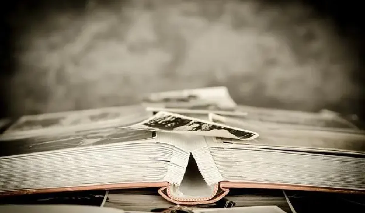 Image by Michal Jarmoluk from Pixabay