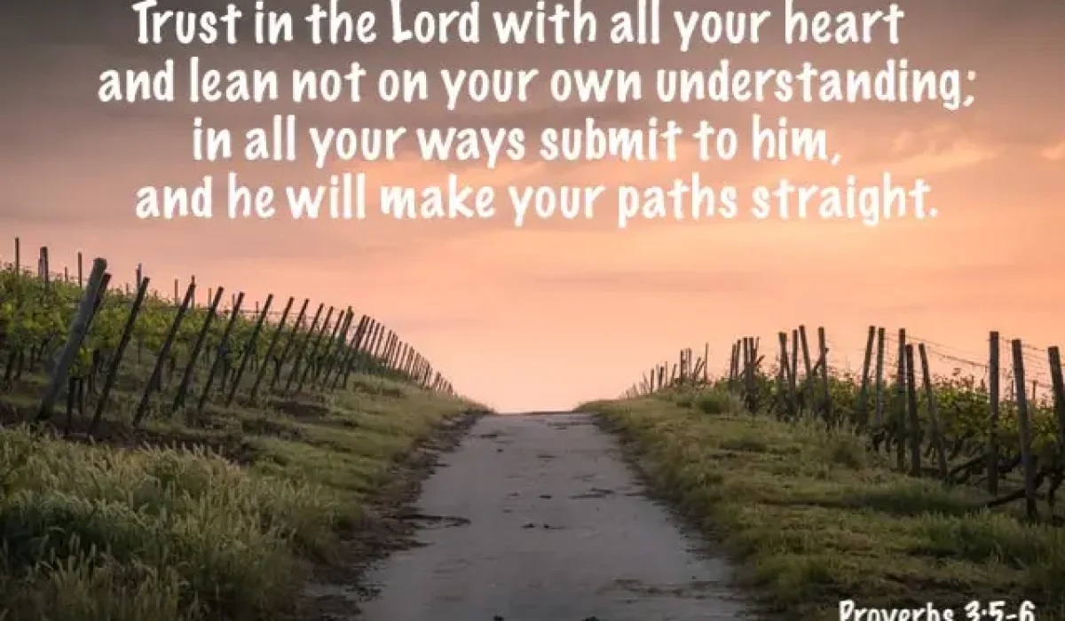 Background Photo by Karsten Würth on Unsplash